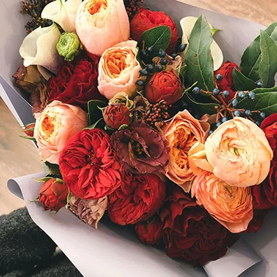 冲破数字藩篱：全方位科学上网指南与深度解析