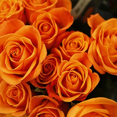 4月23日|19.1M/S，Clash节点/SSR节点/Shadowrocket节点/V2ray节点|免费订阅机场ShadowsocksR免费梯子