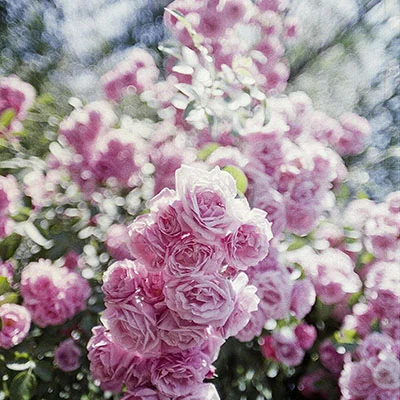 Clash加速器安卓版完整指南：从购买到配置的深度解析