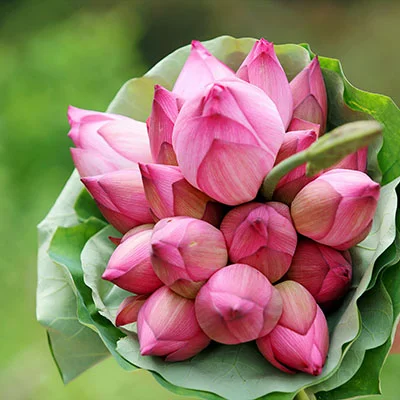 深入解析v2ray连接失败的根源与全面解决方案