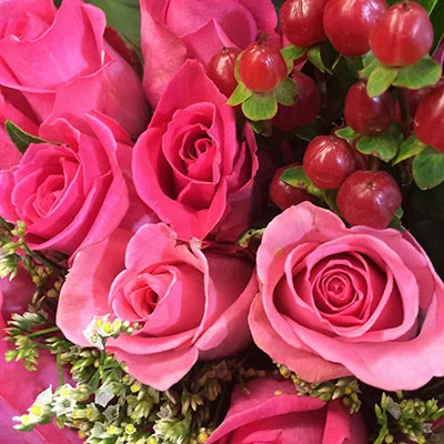 Chrome浏览器科学上网全攻略：解锁网络自由的关键技巧